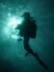 Night Diving - Sharks Cove North Shore Oahu Hawaii by Glenn Poulain 